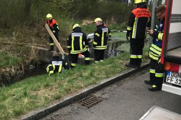 30724381_1695242980528980_5227383435873484800_n