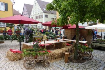 Fuchsienmarkt