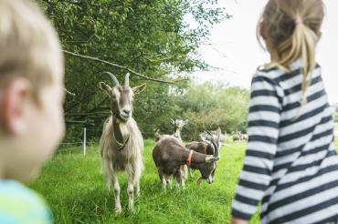 Ziegenhof mit Familie
