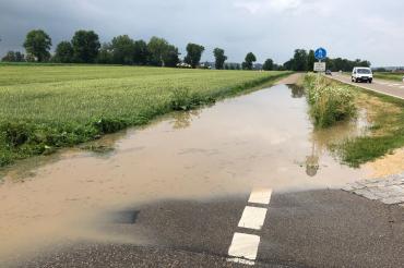 35082898_197101104245891_7804776924902850560_n