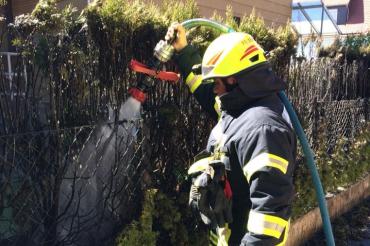 36542458_1784070071646270_3127497354182131712_n