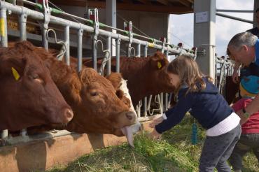 SchweinspointerHerbstfest_Mitmach-Bauernhof