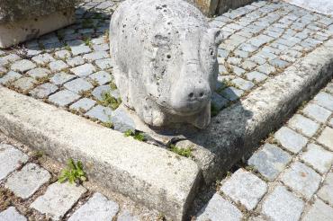 Saumarkt Ferkel 1 (1)