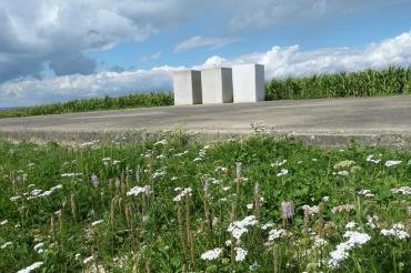 Zeitpyramide 2013 (1)