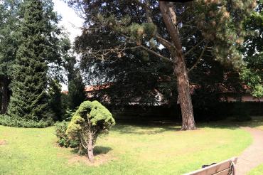 Foto 23.07.18, 16 07 09