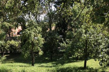 Blick in den Obstgarten