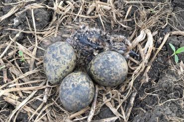 Processed with MOLDIV