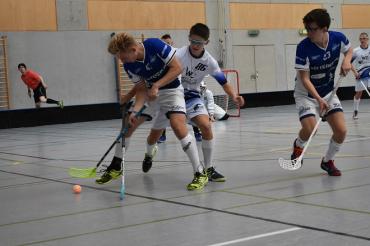 Donau Floorball - Schliersheim