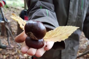 Presseinformation Tag der offenen Waldtüre 1