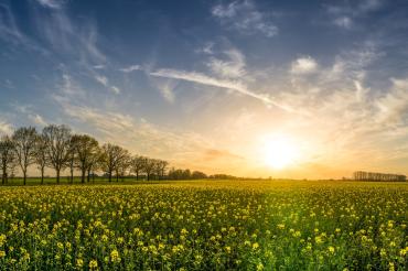 ackerland-ausserorts-bauernhof-355312