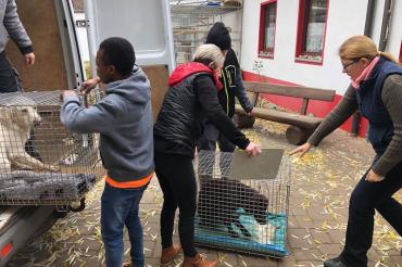 46486111_2211437442446553_3719747312503750656_n