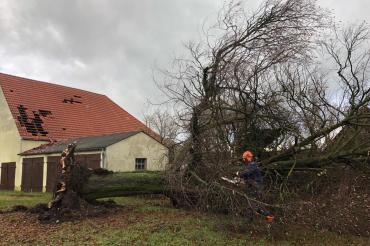 47489764_1956368361119917_8777367325574692864_n