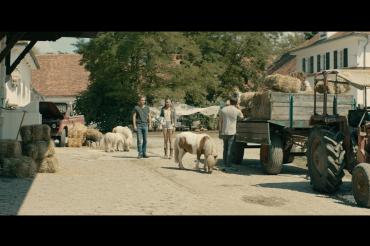 Zu sehen ist eine Szene aus dem Film "Immenhof - Abenteuer eines Sommers", der in der Nähe von Donauwörth gedreht wurde.