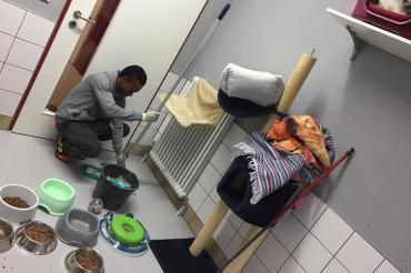 Mohammed Katzenzimmer