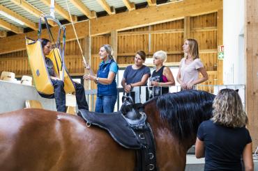 Tiergestützte Therapie Stiftung Sankt Johannes