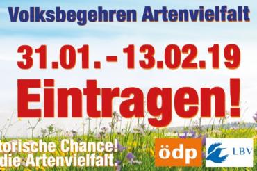 Flyer Volksbegehren 