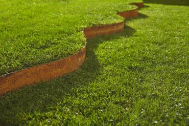 Das Bild zeigt einen grünen Rasen.