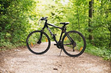 Fahrrad im Wald