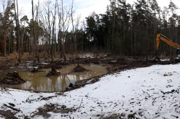 Die Volkshochschule Wemding bietet in diesem Zusammenhang, gemeinsam mit der Schutzgemeinschaft Wemdinger Ried, am Samstag, 16. März 2019 von 14 bis 16 Uhr eine kostenlose Frühjahrswanderung zu den Laichtümpeln im Waldbereich Neuhau – Schwalberholz an.