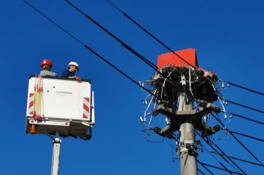 In Oettingen wurde heute ein Nest umgesetzt. 