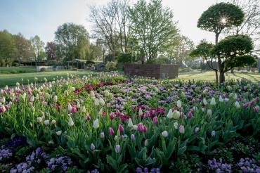 Blumenpark mit Blick auf die Piazza