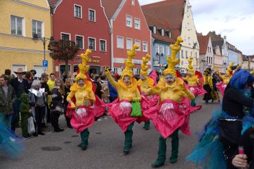 Faschingsumzug Rain 2019