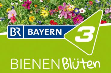 Das Bild zeigt das Plakat Bienen-Blüten