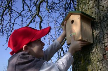 Nistkastenbau des LBV