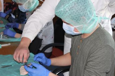 Das Bild zeigt die Praktikumstage in Donauwörth und Nördlingen.