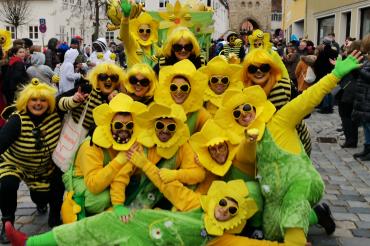 Faschingsumzug Wemding 2019