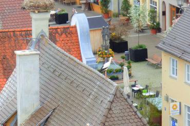 Von 14.04.2019 bis 28.04.2019 sind die Oettinger Brunnen wieder hübsch zur Osterzeit herausgeputzt. 