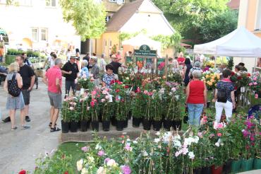 Das Bild zeigt das Archivbild von 2018.