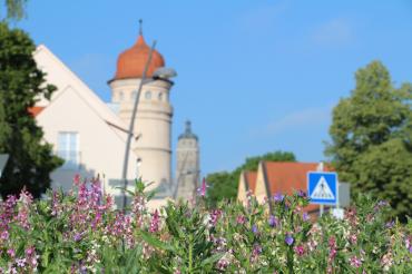 Kreisverkehr an der Wemdinger Unterführung steht in voller Blüte