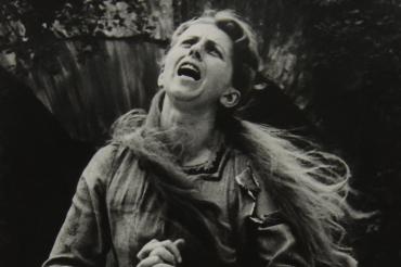 Das Bild zeigt eine Hexe.