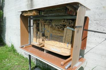 Das Bienenhaus im Garten der Münster-Pfarrei hat schon zahlreiche Bewohner.