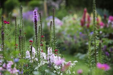 Am 30. Juli 2019 findet "Blühende Phantasie" auf Schloss Baldern statt.