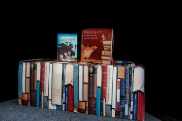 Das Bild zeigt Bücher