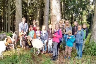 Ziegenwanderung im Mertinger Forst 