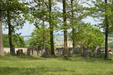 Die ältesten Grabsteine auf dem jüdischen Friedhof in Harburg sind über 300 Jahre alt. 