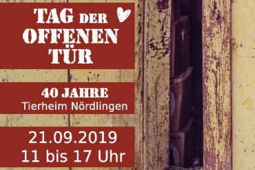 Das Bild zeigt ein Plakat zum Tag der offenen Tür im Tierheim Nördlilngen
