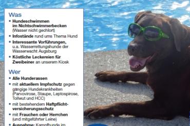 Plakat zum "Hunds"tag