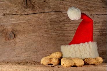 Das Bild zeigt eine Nikolausmütze