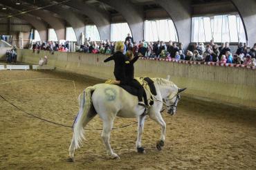 Zwischen 13:00 und 17:30 Uhr werden verschiedene Spiele für Kinder, Schnitzeljagd, Kinderschminken, ein Glücksrad mit tollen Preisen, Ponyreiten, Waffeln & Zuckerwatte angeboten. Im Imbiss wird für das leibliche Wohl gesorgt.