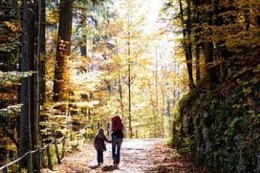 Das Bild zeigt zwei Menschen bei einer Herbstwanderung im Wald