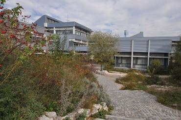 Schule Asbach-Bäumenheim