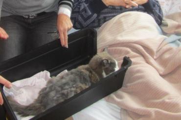 Die Fundkatze mit ihrem Herrchen