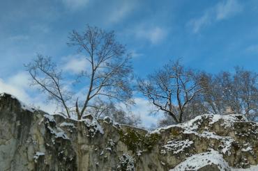 Das Bild zeigt die Mangold Burg in Donauwörth