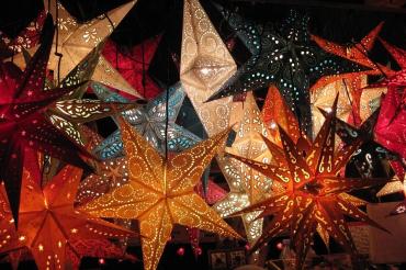 Das Bild zeigt Weihnachtssterne