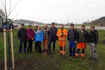 Pflanzung von 20 Obstbäumen