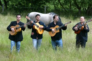 Musiker von Allstar of Gipsy